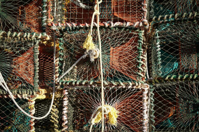Close-up view of fishing nets and ropes, showcasing intricate patterns and vibrant colors.
