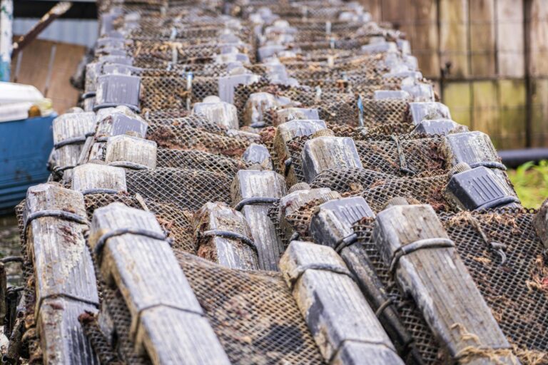 Industrial fish traps stacked in neat rows outdoors, showcasing efficient fishing equipment.